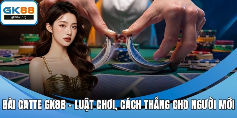 Bài catte