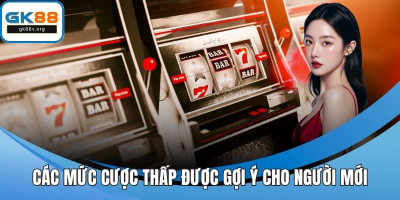Các mức cược thấp được gợi ý cho người mới