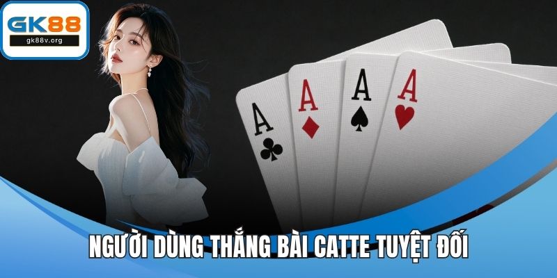 Người dùng thắng bài catte tuyệt đối